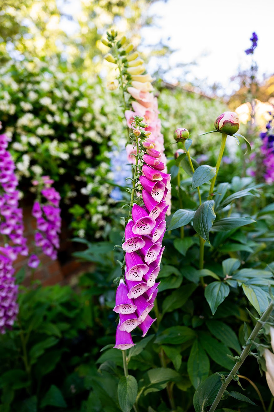 Gardens Dee View Court Neuro Care Centre